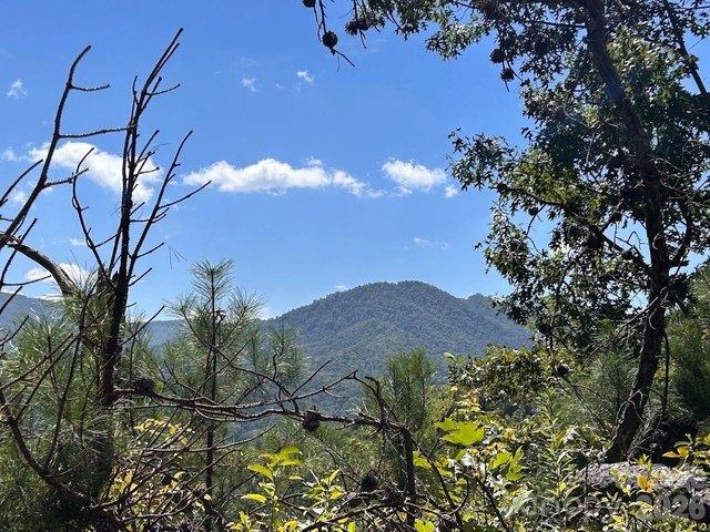 Land for sale in Sylva, North Carolina