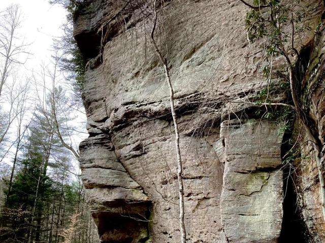 Land for sale in High Falls, Campton