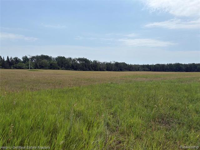 Land for sale in Hubbard Lake Land for sale in Hubbard Lake