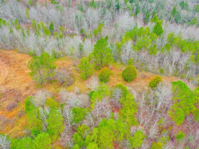 Land for sale in Kentucky