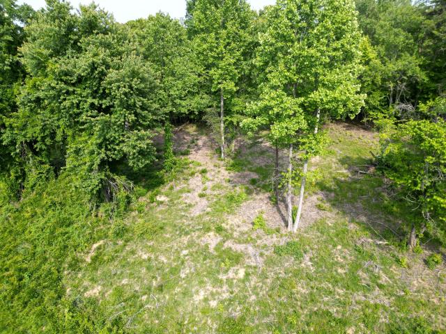 Land for sale in Corbin, Kentucky