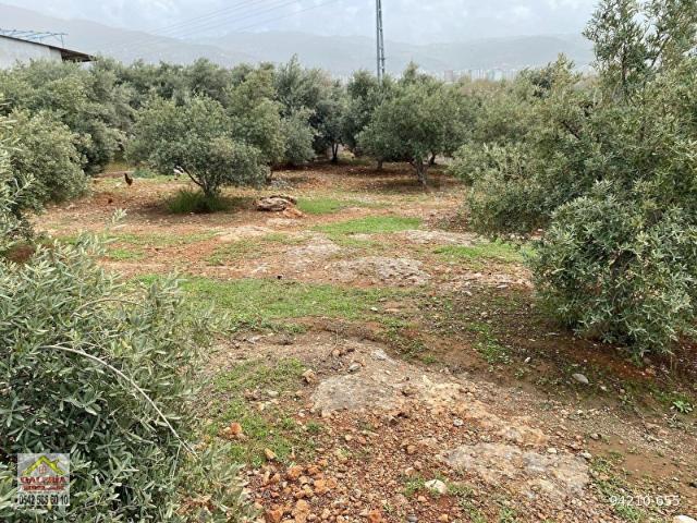 Düziçi, Osmaniye içerisinde satılık mülk