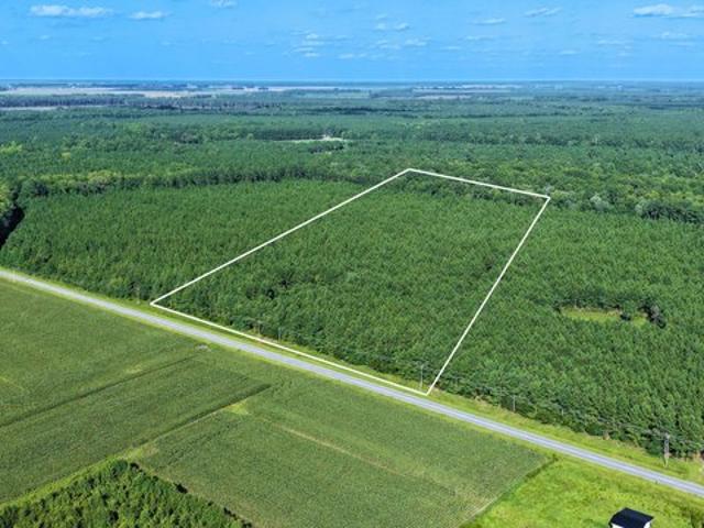 Land for sale in North Carolina