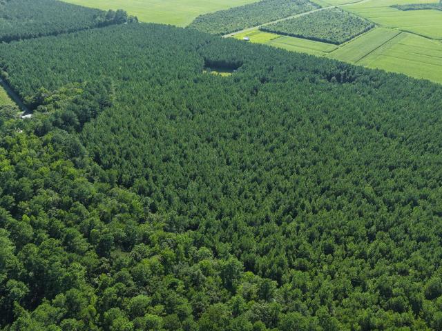 Land for sale in North Carolina