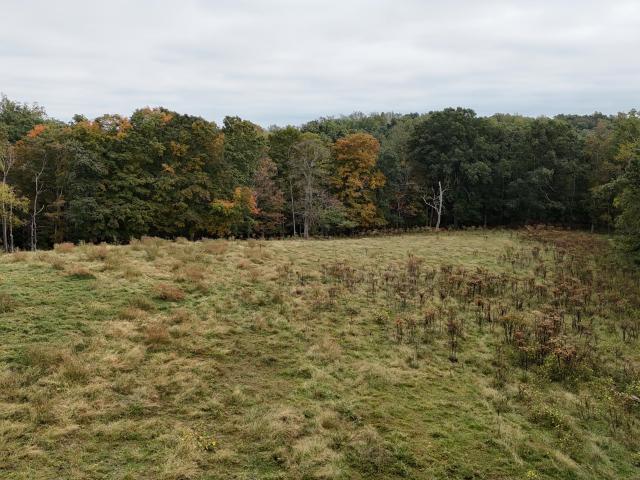Farm for sale in Brodhead, Rockcastle County