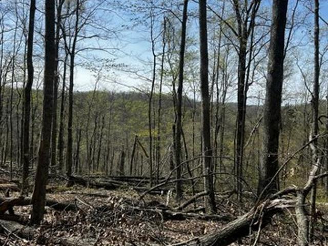Land for sale in Powell, Kentucky