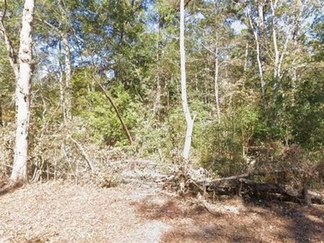 Land for sale in Lacombe, Louisiana
