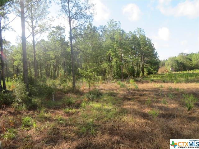 Land for sale in Newton, Texas