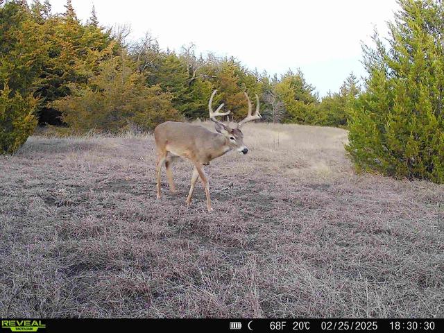 Land for sale in Fannin, Texas