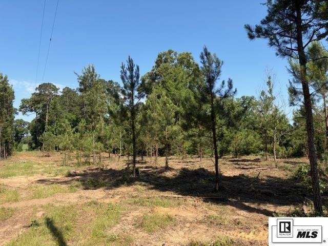 Land for sale in Farmerville, Louisiana