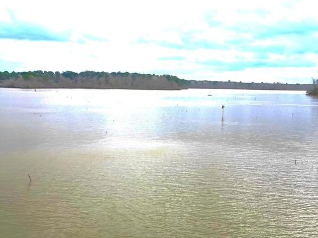 Land for sale in Sabine, Texas