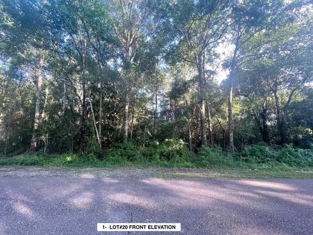 Land for sale in Abita Springs, Louisiana