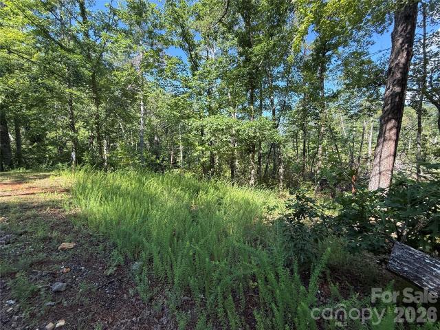 Land for sale in Marion, North Carolina