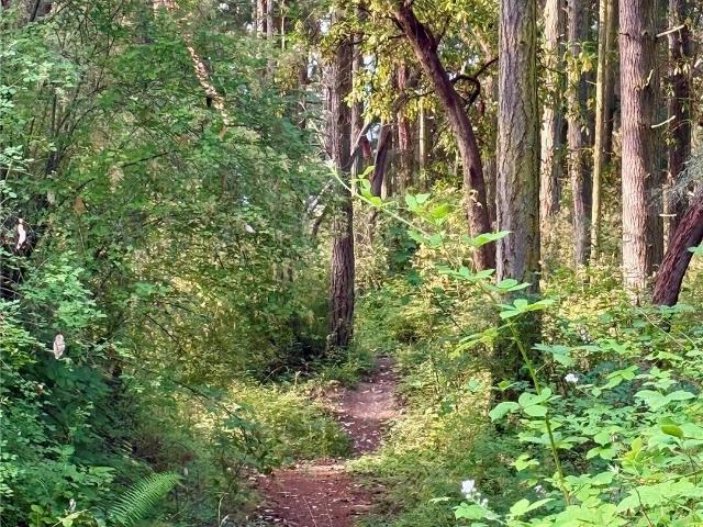 Land for sale in Port Townsend, Jefferson County