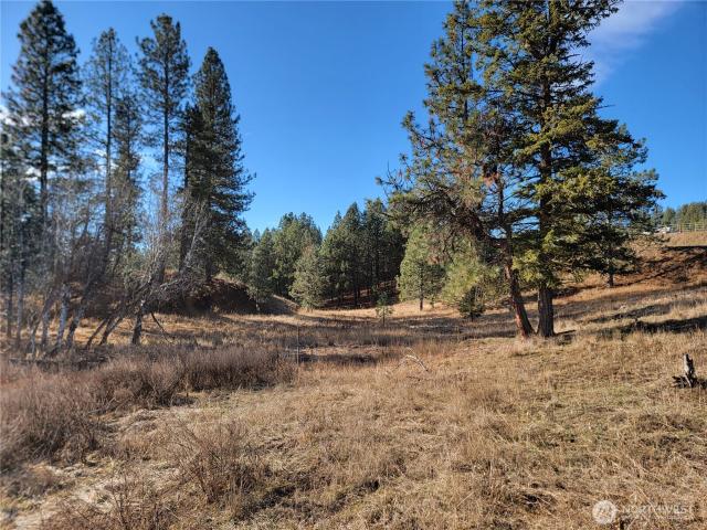 Land for sale in Republic, Ferry County