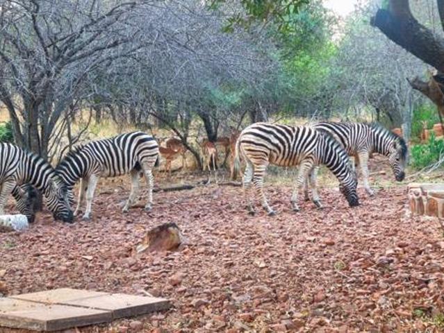 Land for sale in 57 Waterberg, Lephalale Local Municipality
