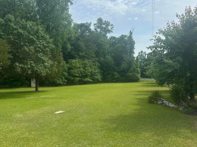 Land for sale in Clarkton, North Carolina