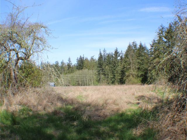 Land for sale in Sequim, Washington