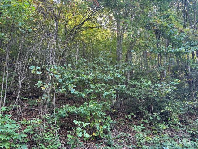 Land for sale in Fairview, North Carolina