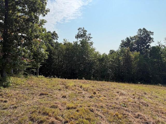 Land for sale in Livingston, Kentucky