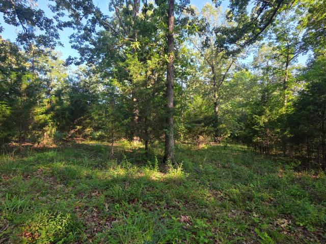Land for sale in Benton, Kentucky