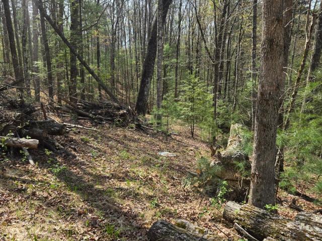 Land for sale in Wolfe, Kentucky