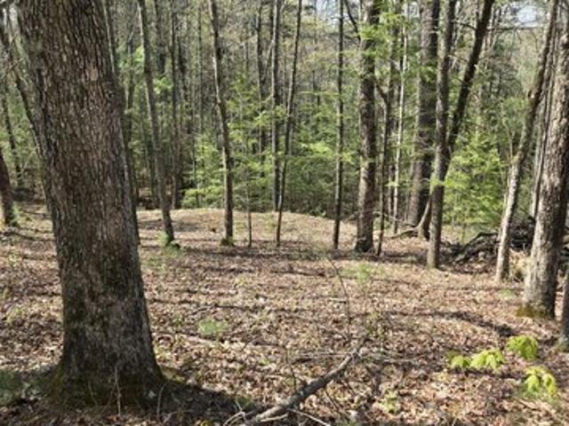 Land for sale in Wolfe, Kentucky
