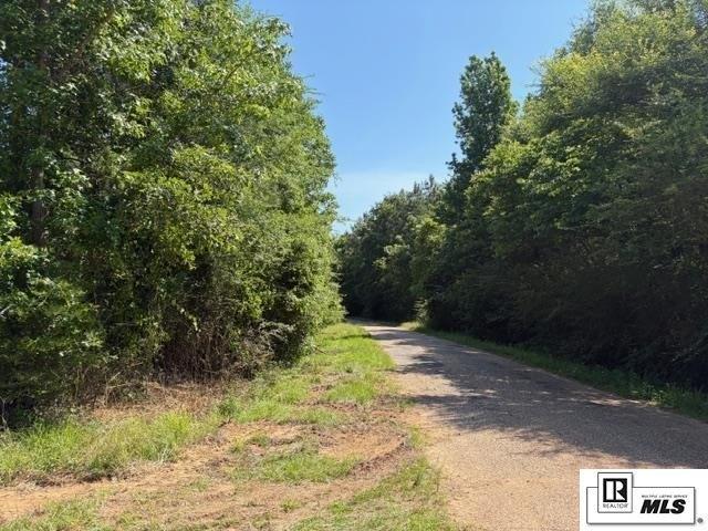 Land for sale in Farmerville, Louisiana
