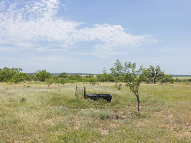 Land for sale in Brady, Texas