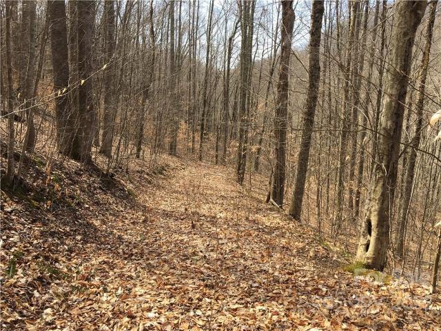 Land for sale in Mars Hill, North Carolina