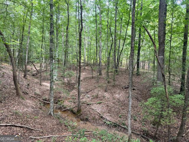 Land for sale in Franklin, Georgia