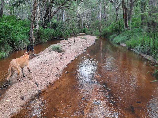 Property for sale in Eureka, Queensland