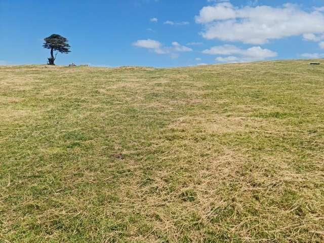 Land for sale in Pembroke, Taranaki