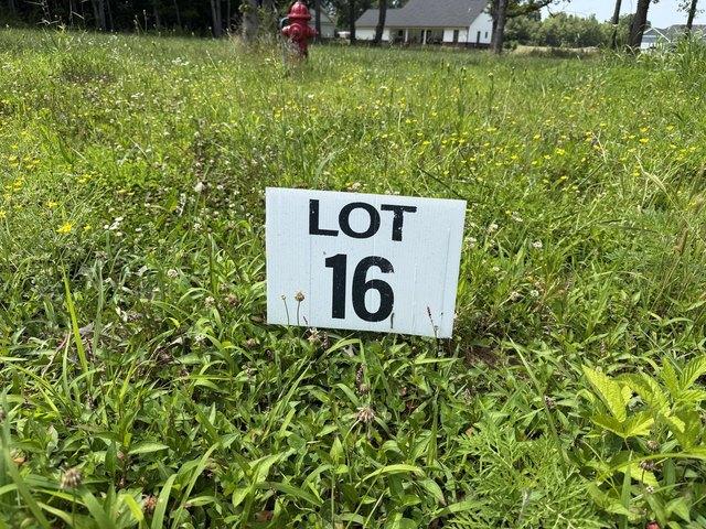 Land for sale in Mayfield, Kentucky