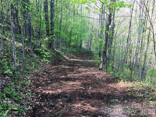 Land for sale in Mars Hill, North Carolina
