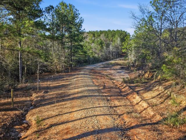 Land for sale in Poplarville, Mississippi