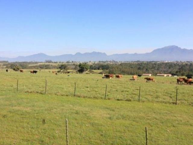 Farm for sale in Groot Brak Rivier, Western Cape