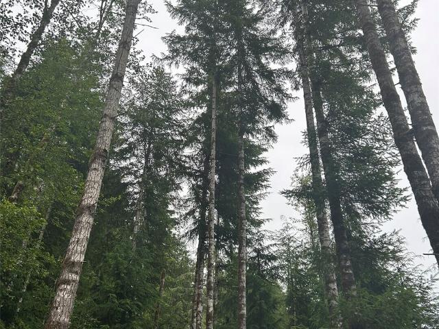 Land for sale in Amanda Park, Washington