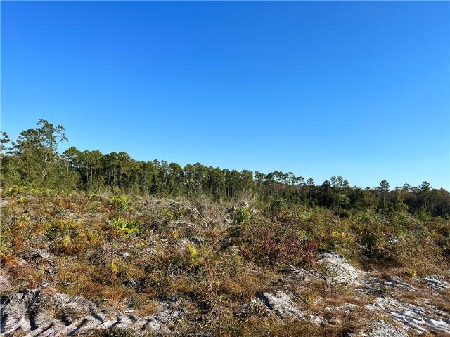 Land for sale in Darien, Georgia