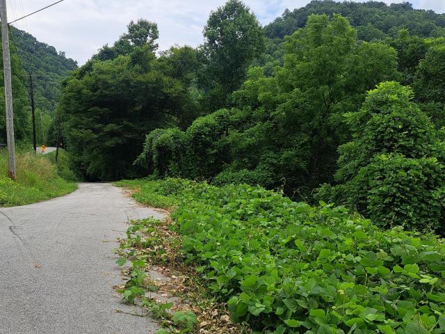 Land for sale in Manchester, Kentucky