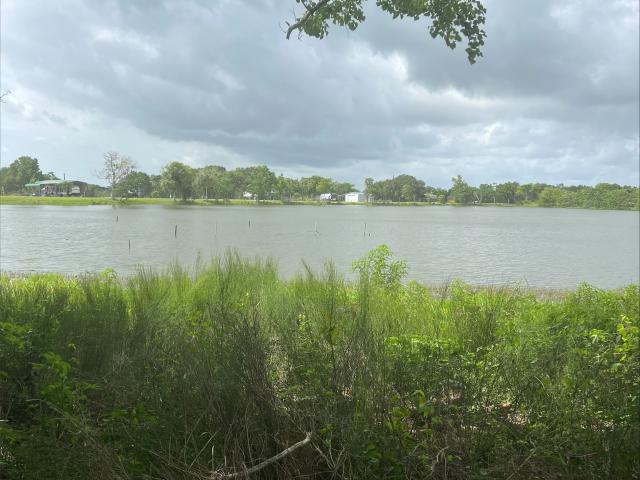 Land for sale in Palacios, Texas