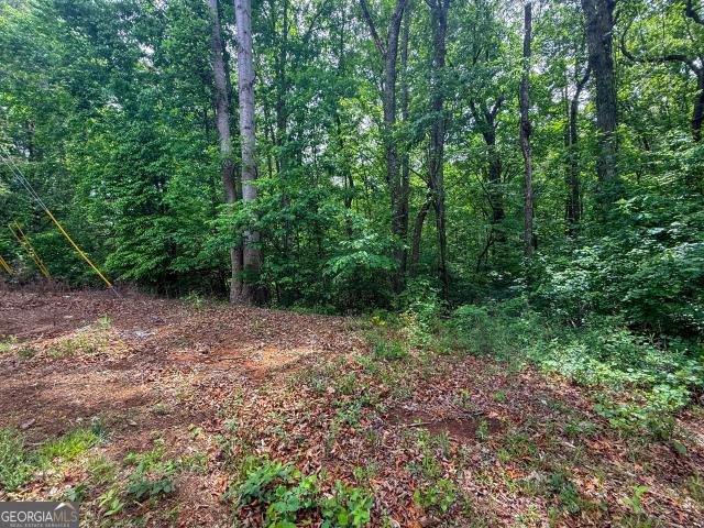 Land for sale in Martin, Georgia