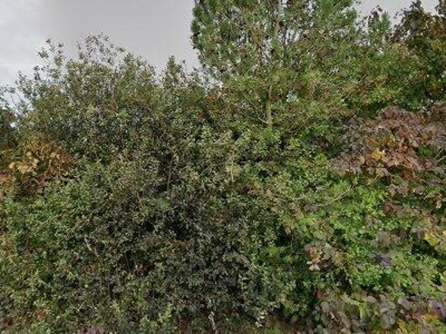 Lejlighed til salg i Guldborgsund