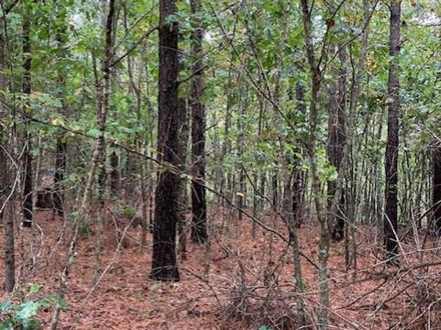 Land for sale in Fredericktown, Missouri