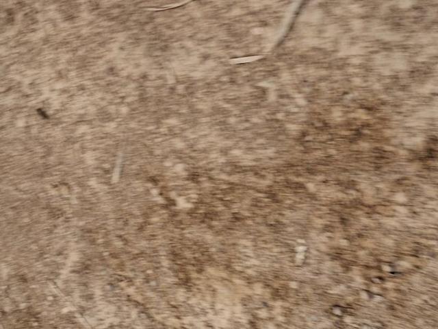 Land for sale in Hariana
