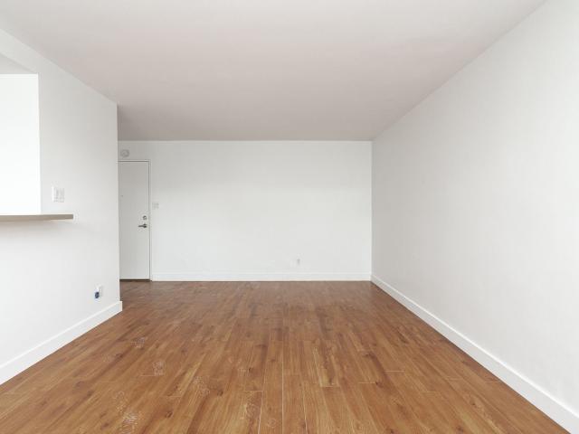 Apartment for rent in South Parkdale, Toronto