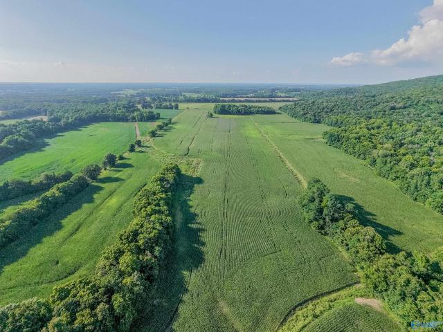 Land for sale in New Market, Alabama
