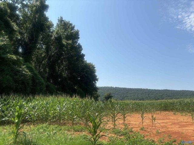 Land for sale in New Market, Alabama