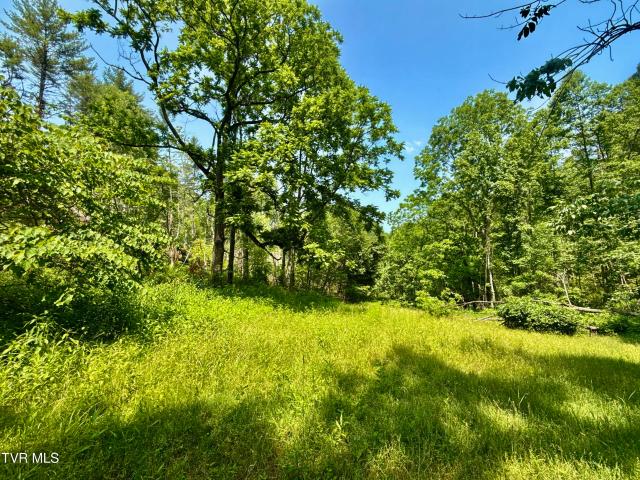 Land for sale in Tennessee