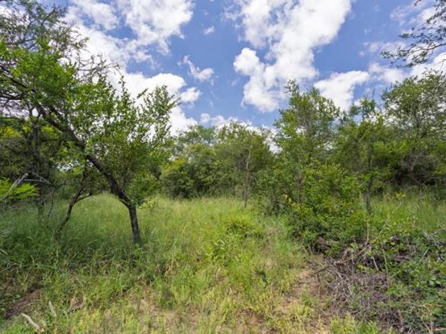 Property for sale in Mopani, Limpopo